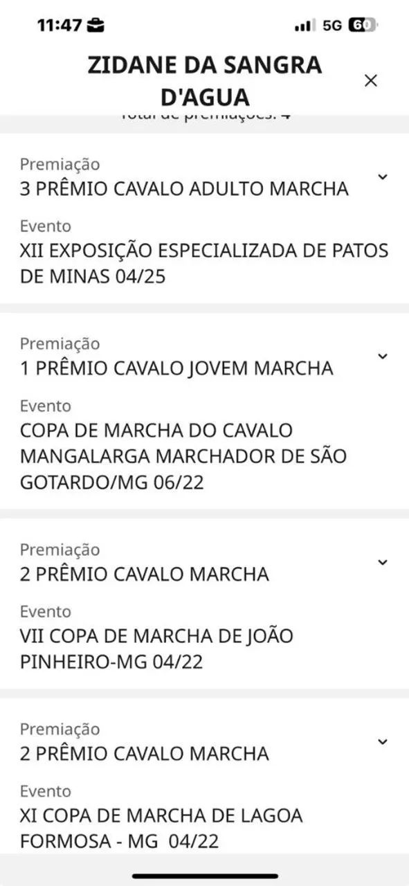 CAVALO GARANHÃO MANGALARGA REGISTRADO - Foto 5