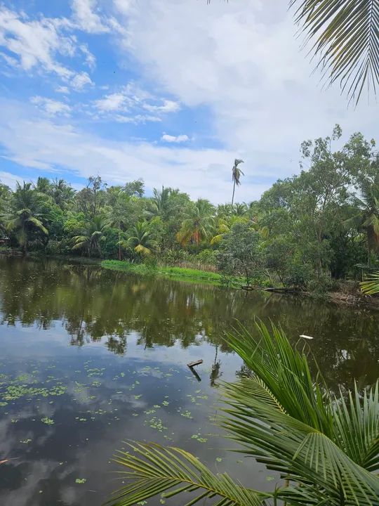 AREA com 5.700 m2,  com lagoa e natureza exuberante - Foto 2
