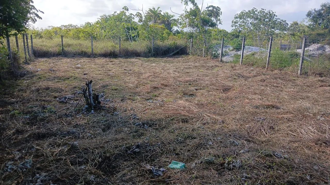 SEU REFÚGIO DE PAZ e NATUREZA: Sítio Amplo, Murado. - Foto 14