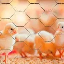 Tela metálica hexagonal, malha 1", 24 BWG x 1,0 m, com 50 m, pinteiro, VONDER - Foto 2