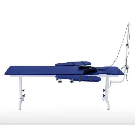 Vendo a Preço Baixo Uma Maca de Fisioterapia e Massagem Praticamente Nova!