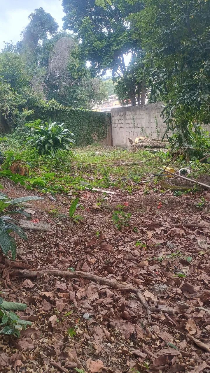 Foto - Juiz de Fora - Nova Era
