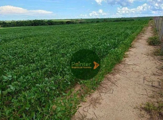 Fazenda à venda, 20000 m² por R$ 85.000.000,00 - Zona Rural - Água Boa/MT - Foto 2