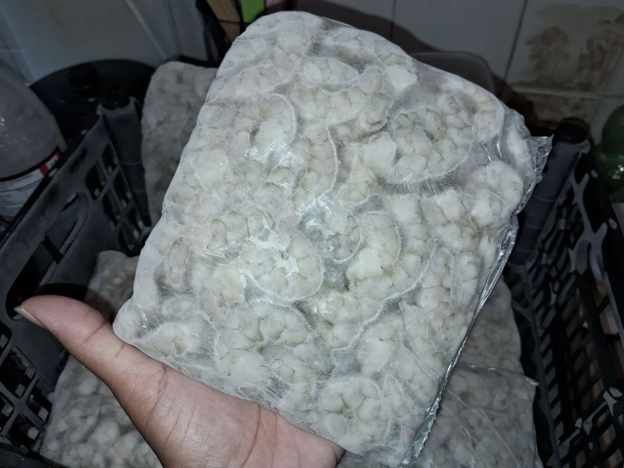 Camarão branco ? ? ?  - Foto 3