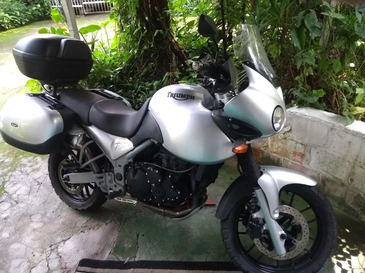 Vendo linda Triumph 955i
