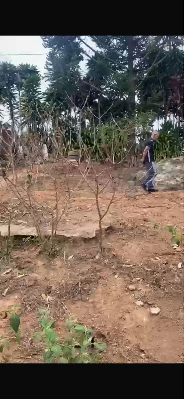 Lote e Casa a Venda Santa Rita do Ibitipoca ( Rua do Copasa) - Foto 5