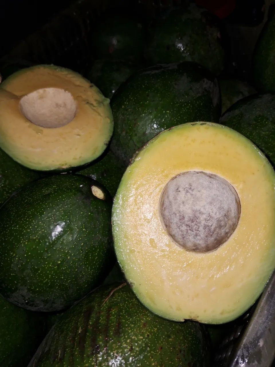 Abacate sem agrotóxicos  - Foto 3
