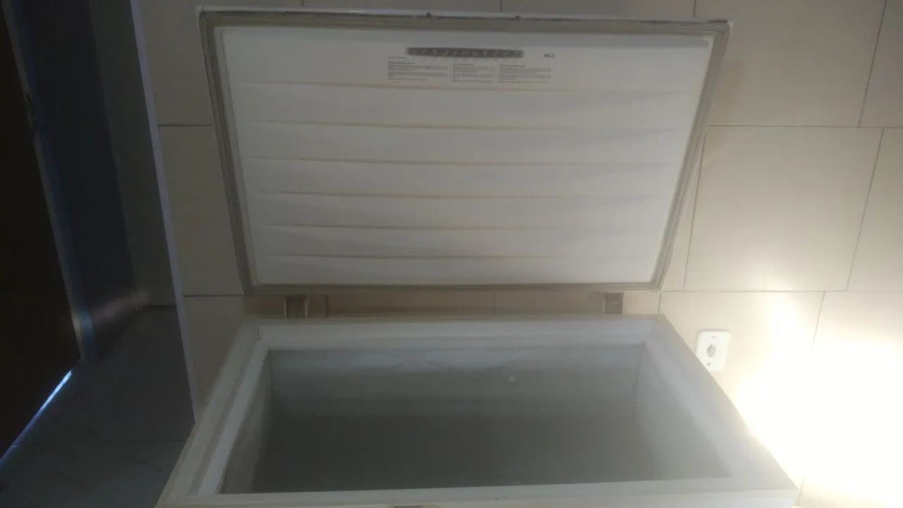 Vendo freezer Electrolux  - Foto 4
