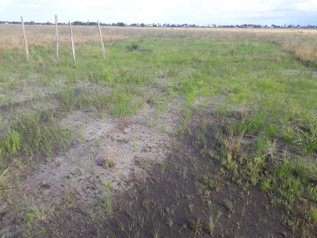 Vendo terreno ou troco - Foto 3