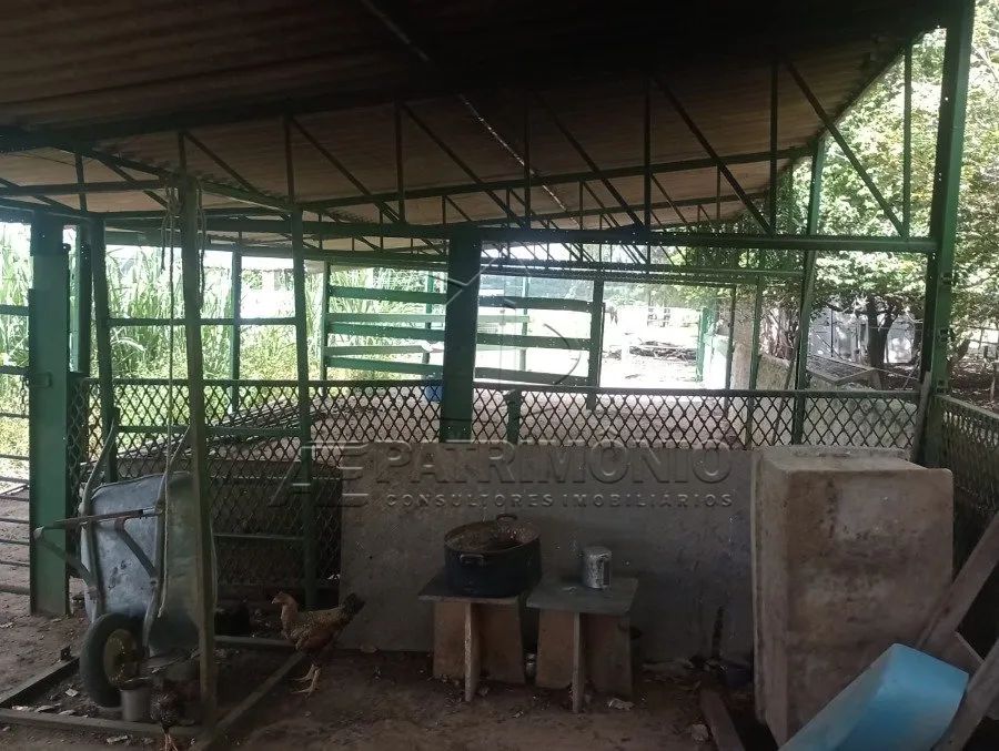 Chácara à venda - espaço, natureza e tranquilidade! - Foto 5