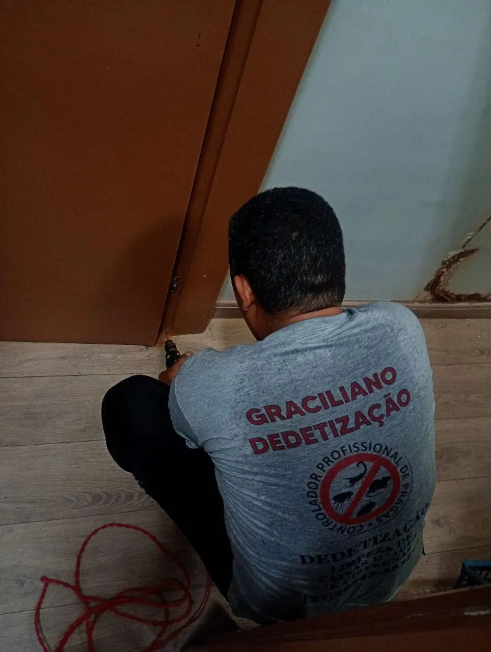 Dedetização  - Foto 3