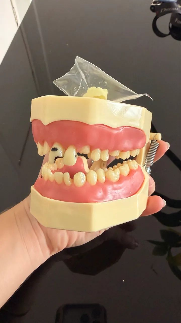 Manequim Odontológico  - Foto 3