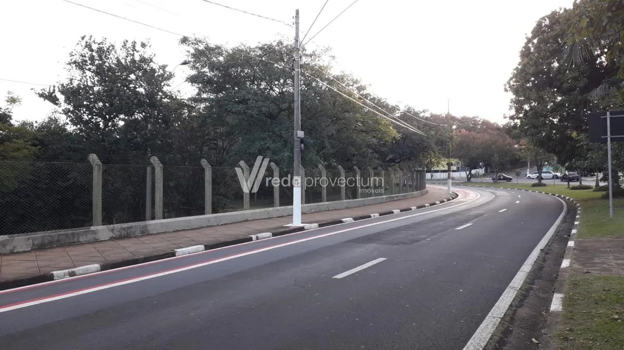 terreno - Taquaral - Campinas - Foto 2
