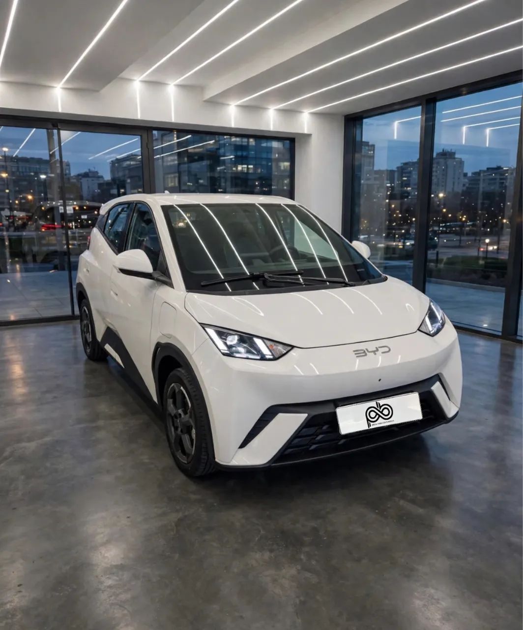 BYD Dolphin Mini (Elétrico) 2025