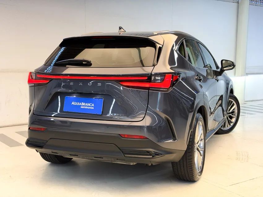 Lexus NX-350h Luxury 2.5 16V Aut. (hybrid), foto 10 de 19