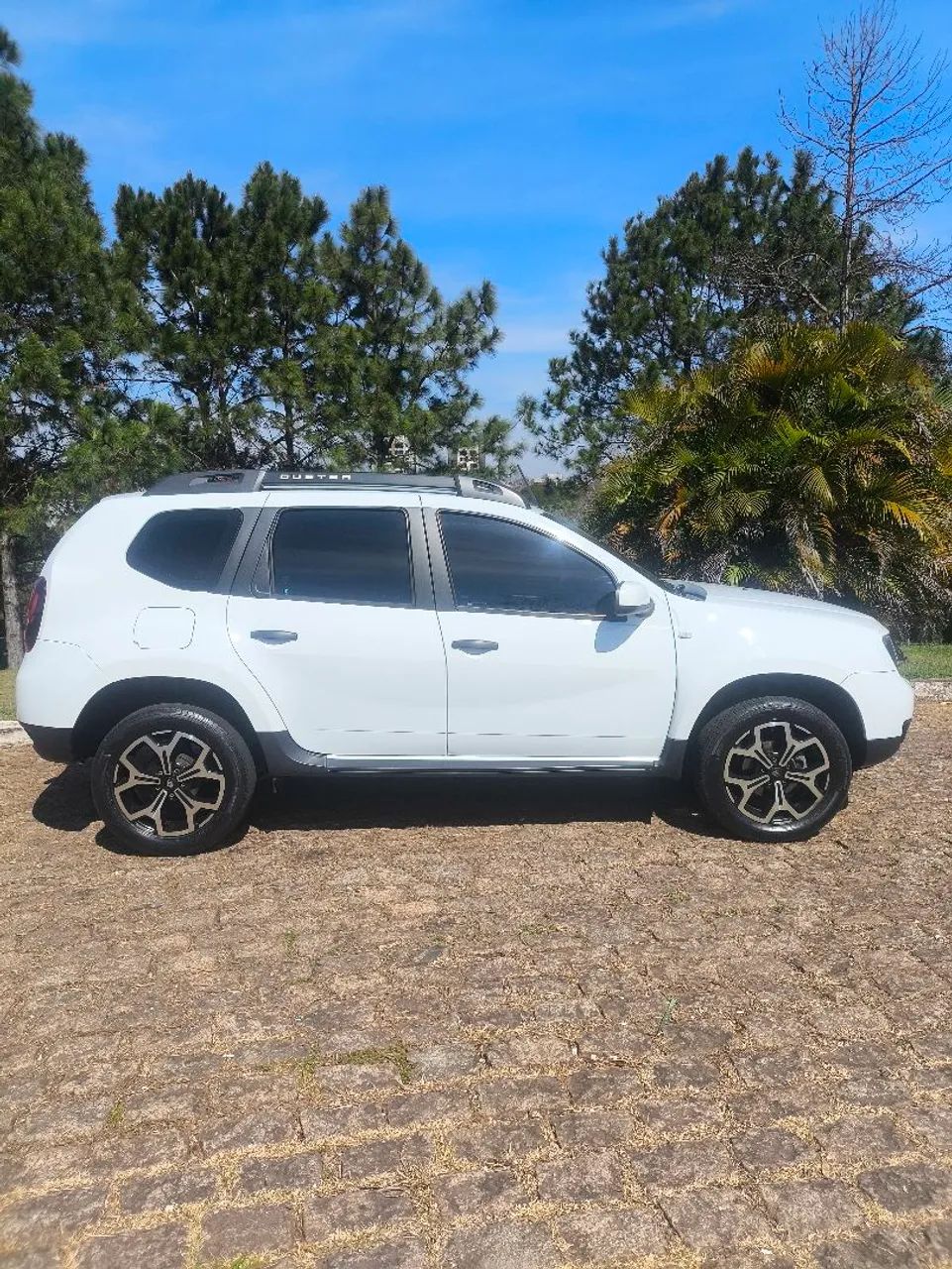 Renault Duster Authent. 1.6 Flex 16V Aut.(pcd) 2019 - Foto 3