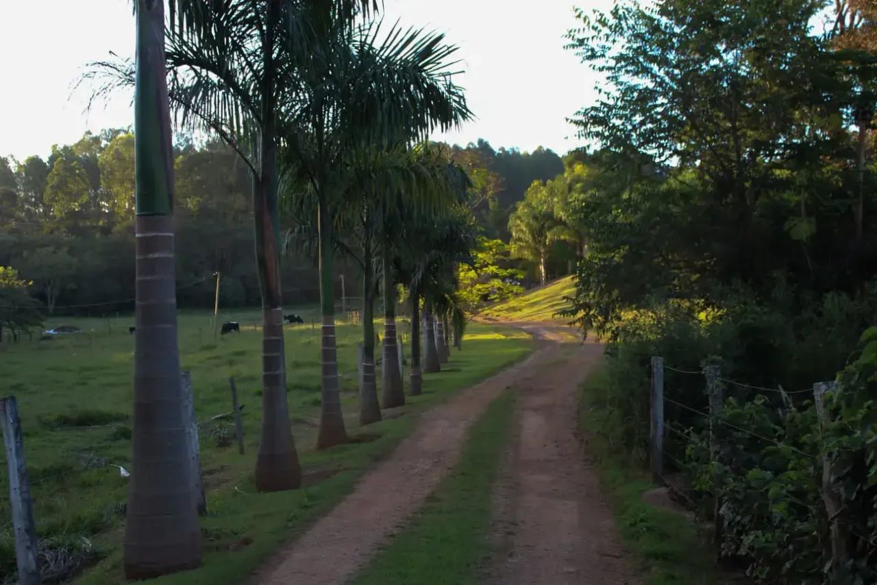 FAZENDA À VENDA codigo: 348457 - Foto 4
