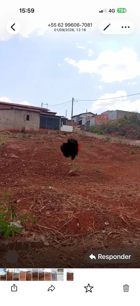 Lote Ceres-Go, st. Aldeia do Vale