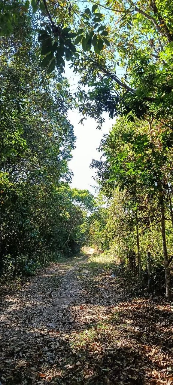 Terreno em Pirenópolis com rio 72980-000 - Foto 3