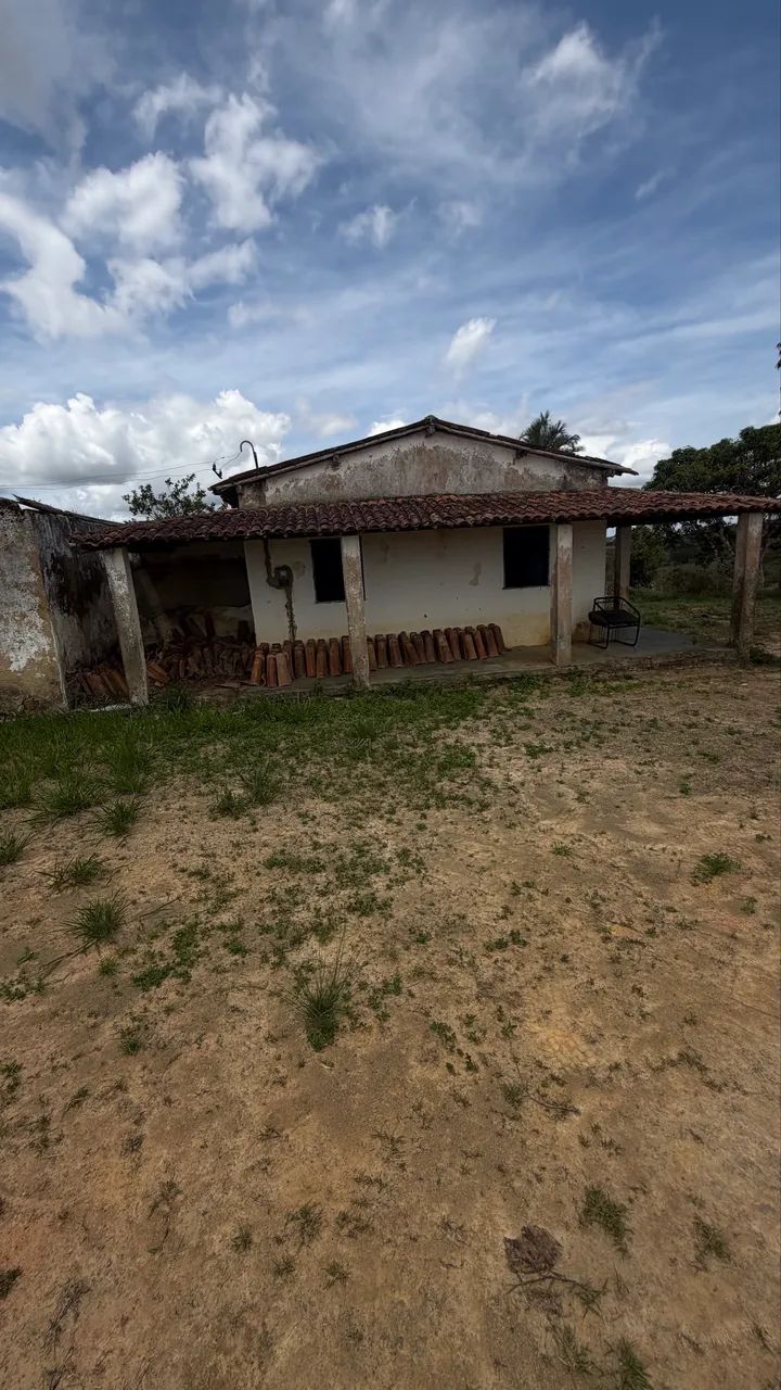 ? 2,9 hectares  aproximadamente 3 hectares - Foto 4