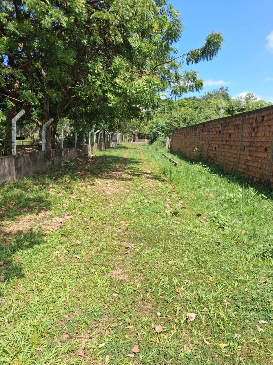 Vendo Sítio na Estiva - Foto 3