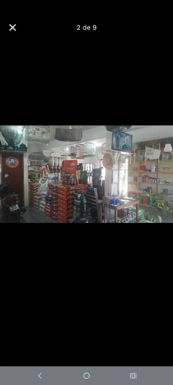 Agropecuária completa - Foto 3