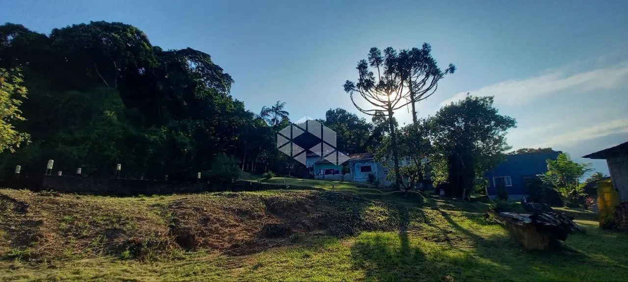 Terreno Floresta Melhor Localização - Foto 4