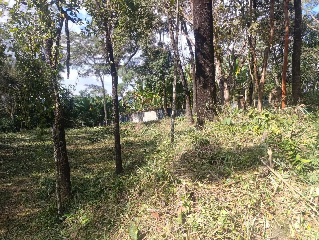 Terreno 1000 M² - Foto 5