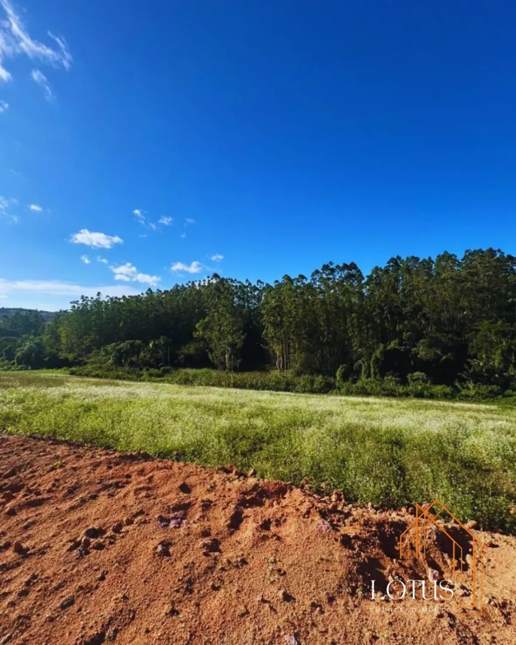 500M² PARA CRIAR SEU ESPAÇO NO INTERIOR - Foto 5