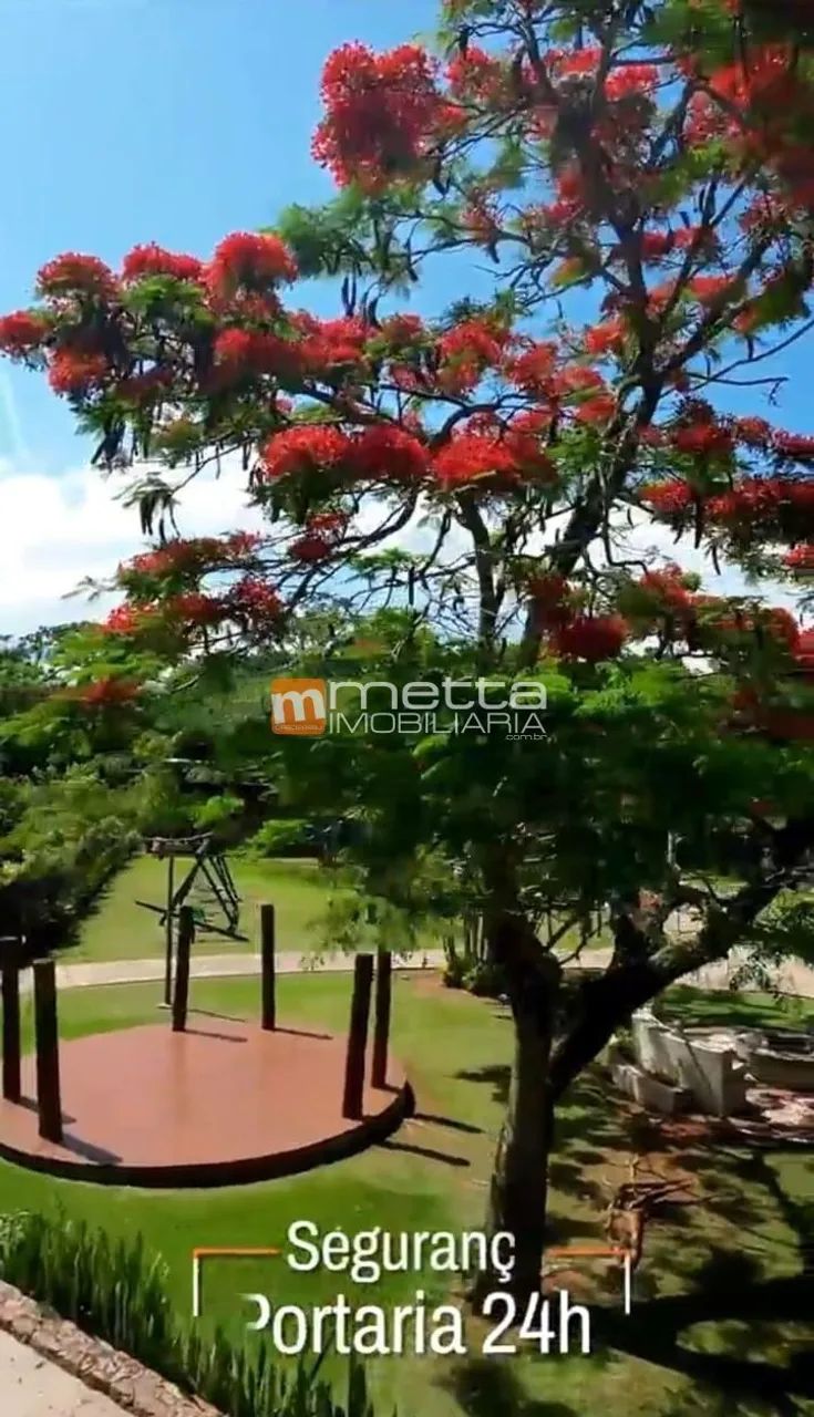 Terreno à venda, 756m² no Vivá Cacupé - Florian ópolis/SC - Foto 4