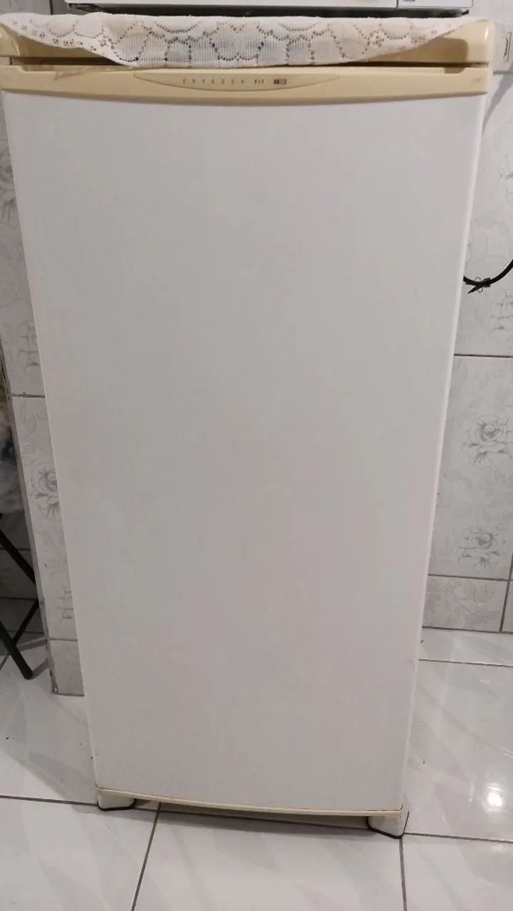 Freezer Prosdócimo vertical