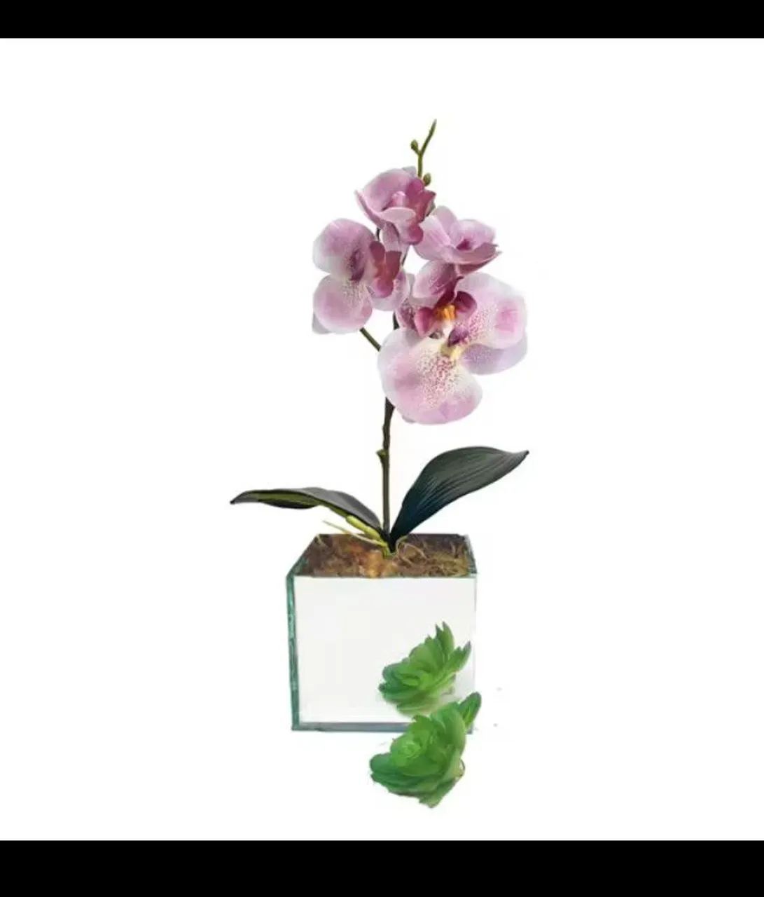 Vasinhos lindos de vidro com plantas artificial - Foto 3