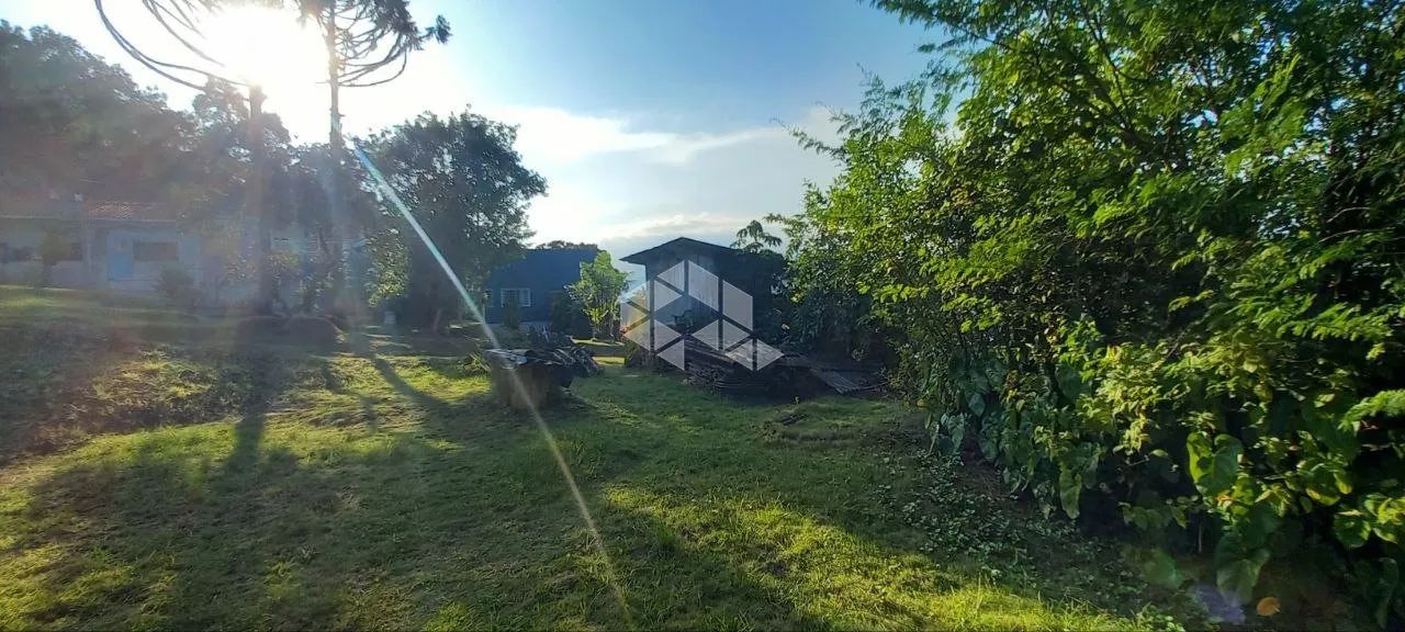 Terreno Floresta Melhor Localização - Foto 5