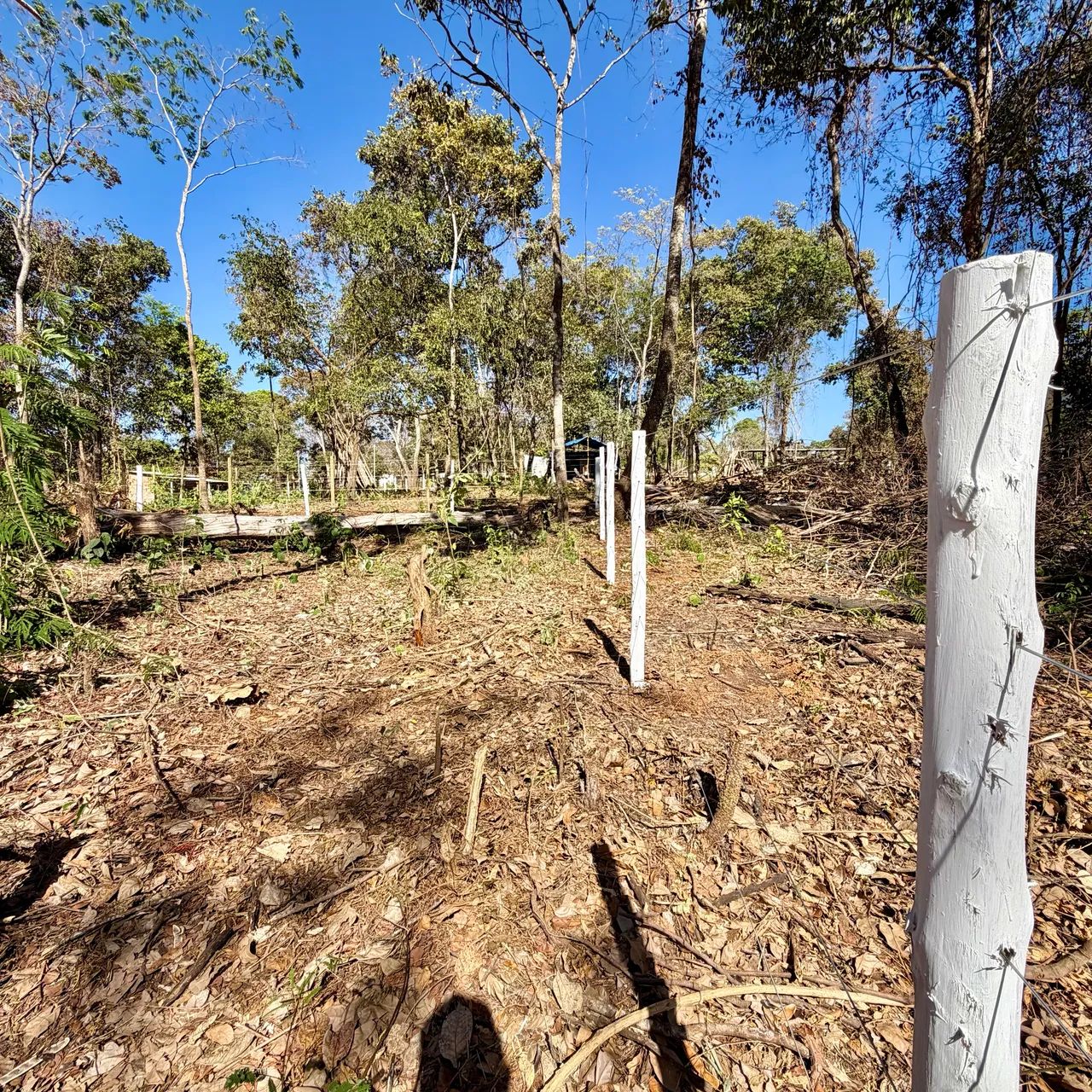 Chácara 1.100m2 em Bonfinópolis GO - Foto 5