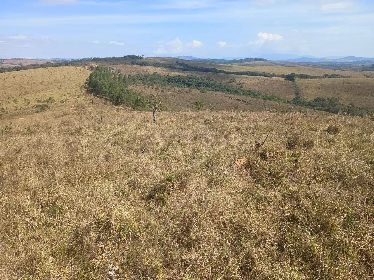 Terreno - Foto 4