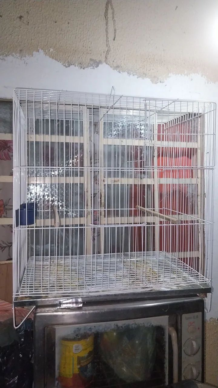 Gaiola pássaros  - Foto 3