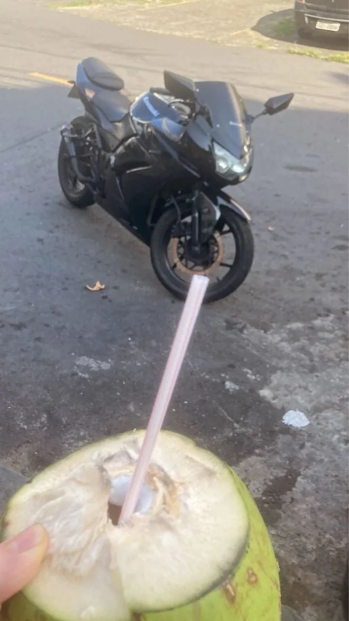 Ninja 250r 