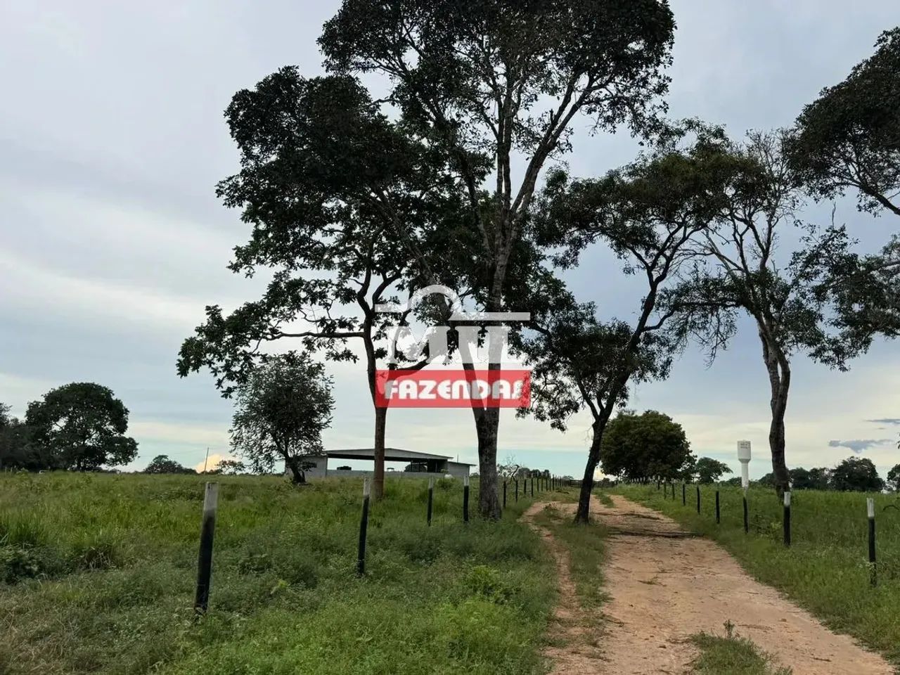 Fazenda 20 alqueires (96,8 hectares) Ipameri - GO - Foto 3