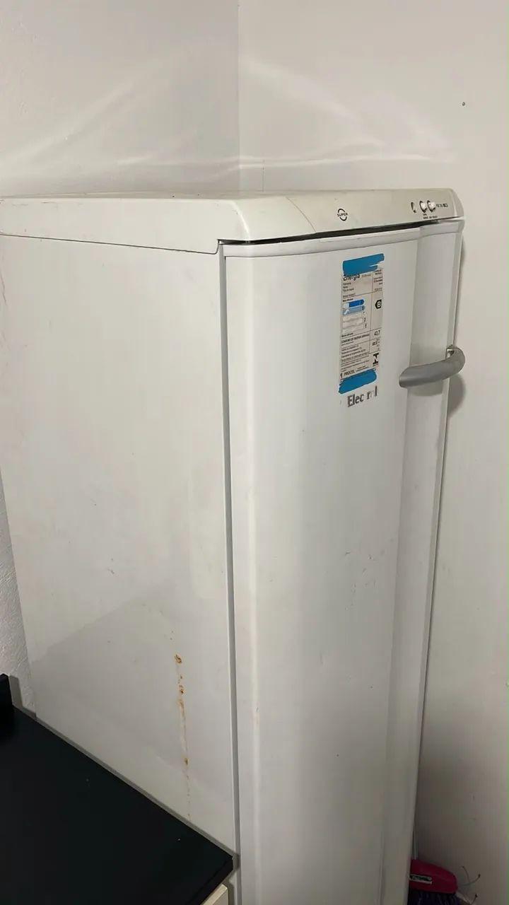 FREEZER ELETROLUX FE26 - USADO - Foto 6