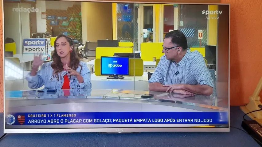 Televisor Sony 50 Polegadas com fonte esterna.