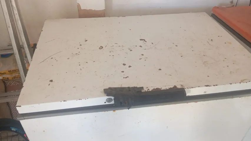 FREEZER HORIZONTAL 395L ELETROLUX - TRAPICHE DA BARRA - Foto 2