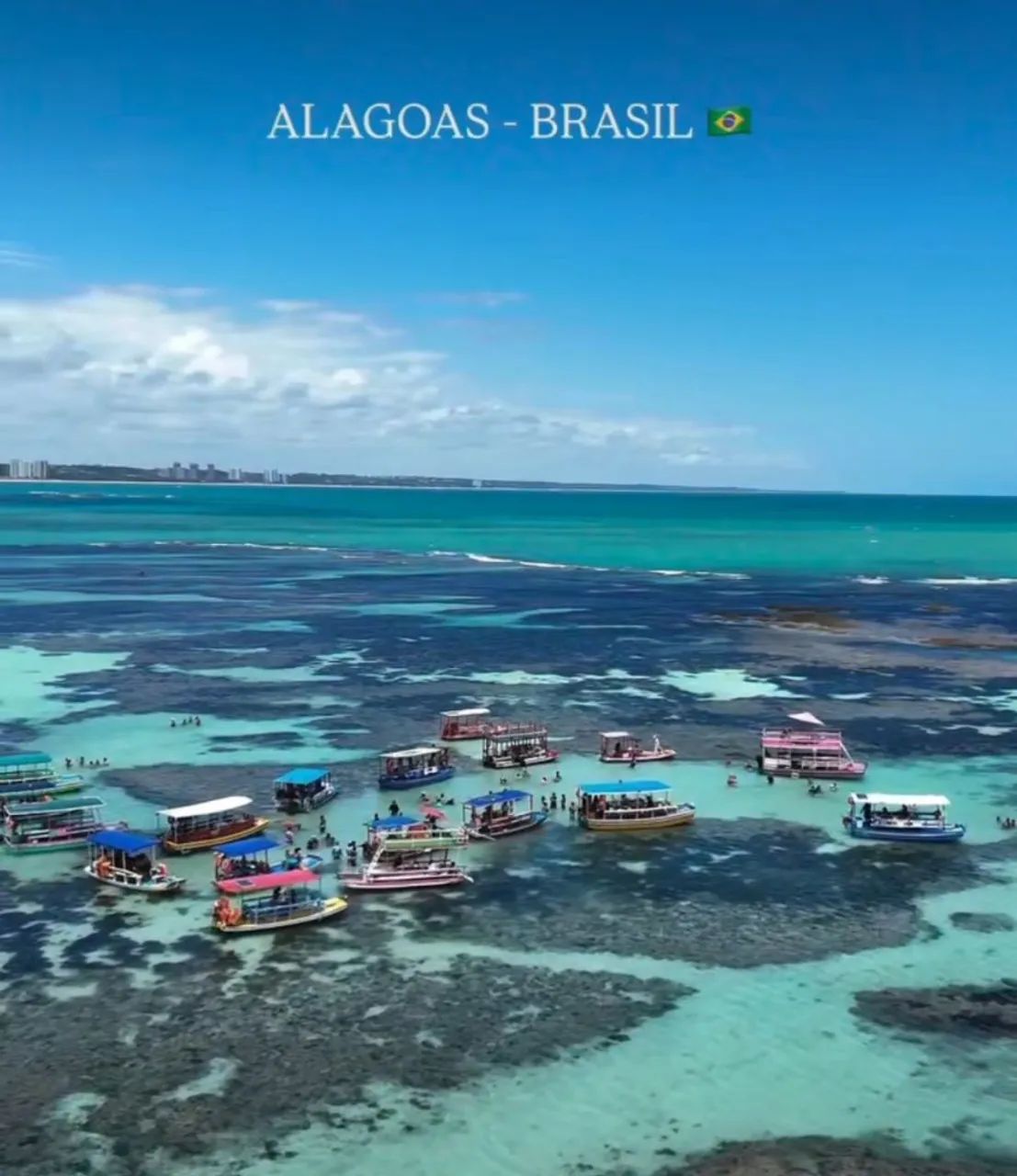 Venha  conhecer  melhor  de  Alagoas 
