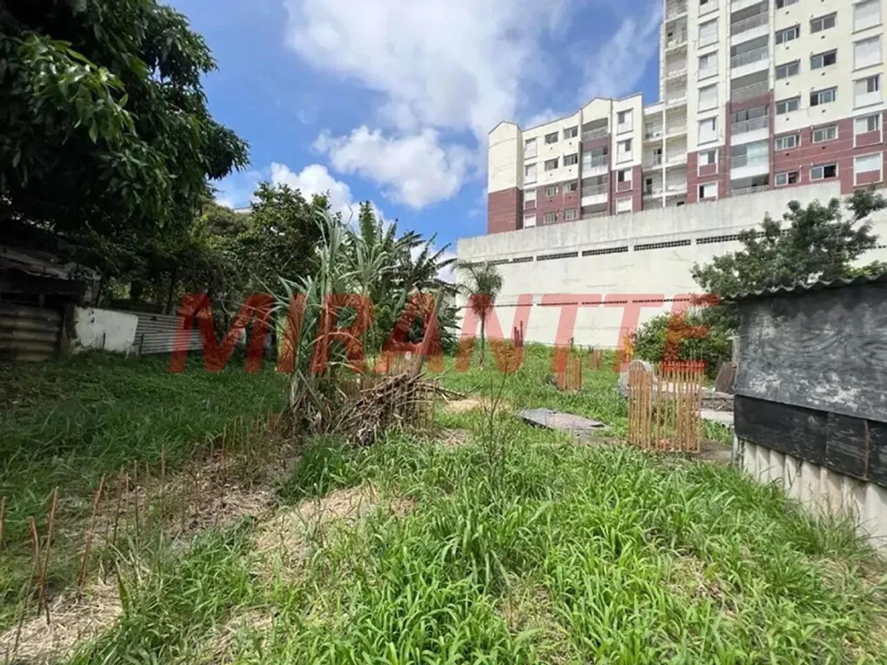 Terreno em Vila Gustavo - Foto 5