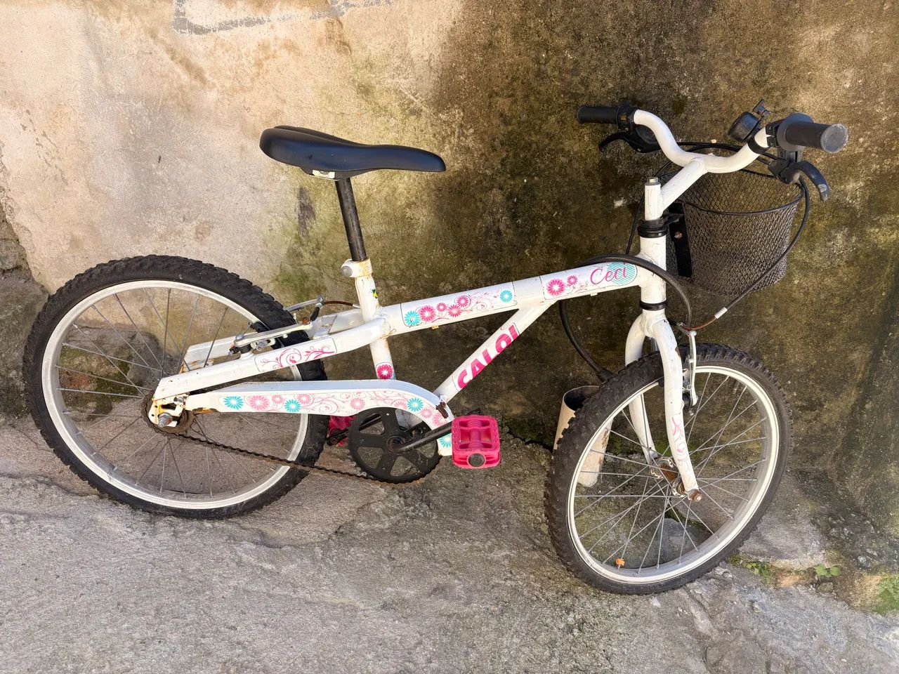 Bicicletas e triciclo 
