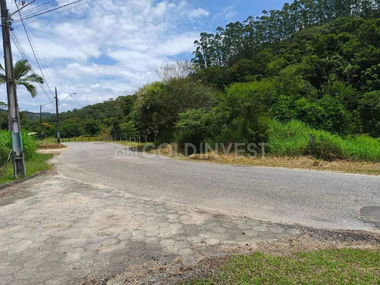 Chácara / Sítio à venda, Limeira Alta - Brusque/SC - Foto 2