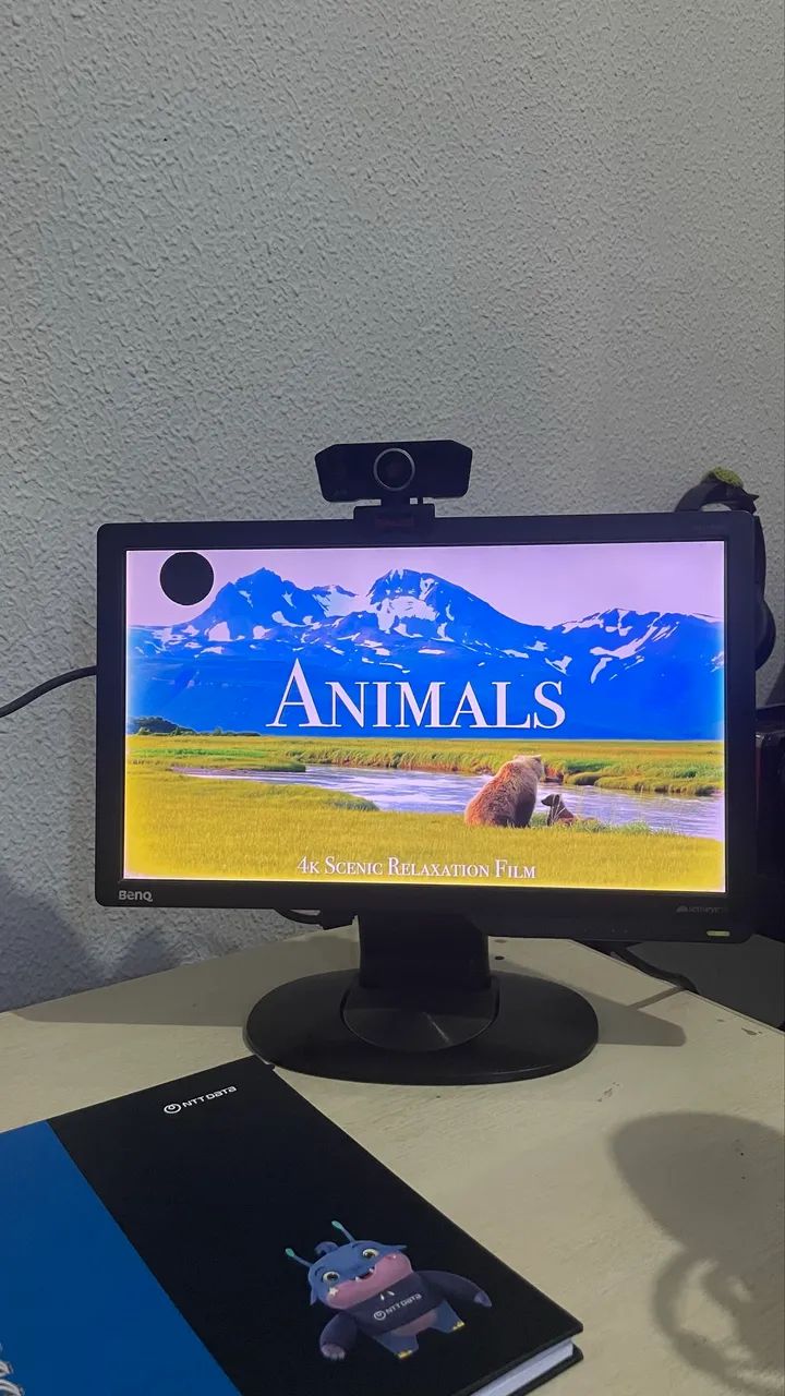 Monitor BenQ