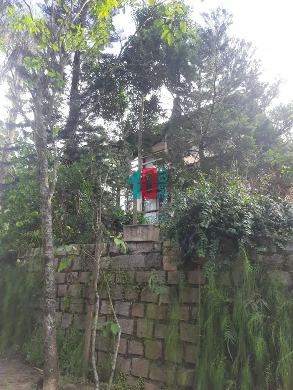 Limoeiro | Casa de Condomínio 4 quartos, sendo 1 suite - Foto 3