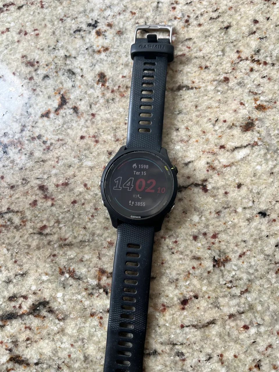Garmin 255 music  - Foto 2