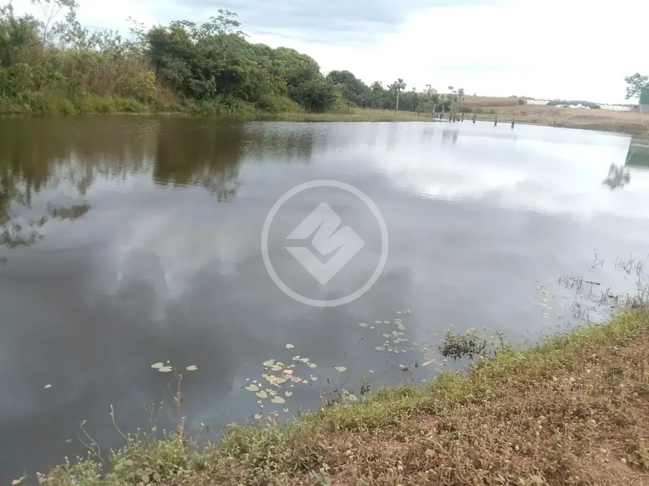 FAZENDA PRODUTIVA DE 475,21 Alqueire codigo: 367781