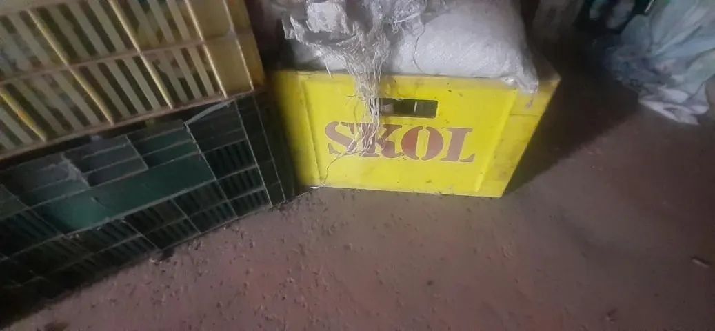 Sete engradados com garrafas de cervejas. - Foto 4